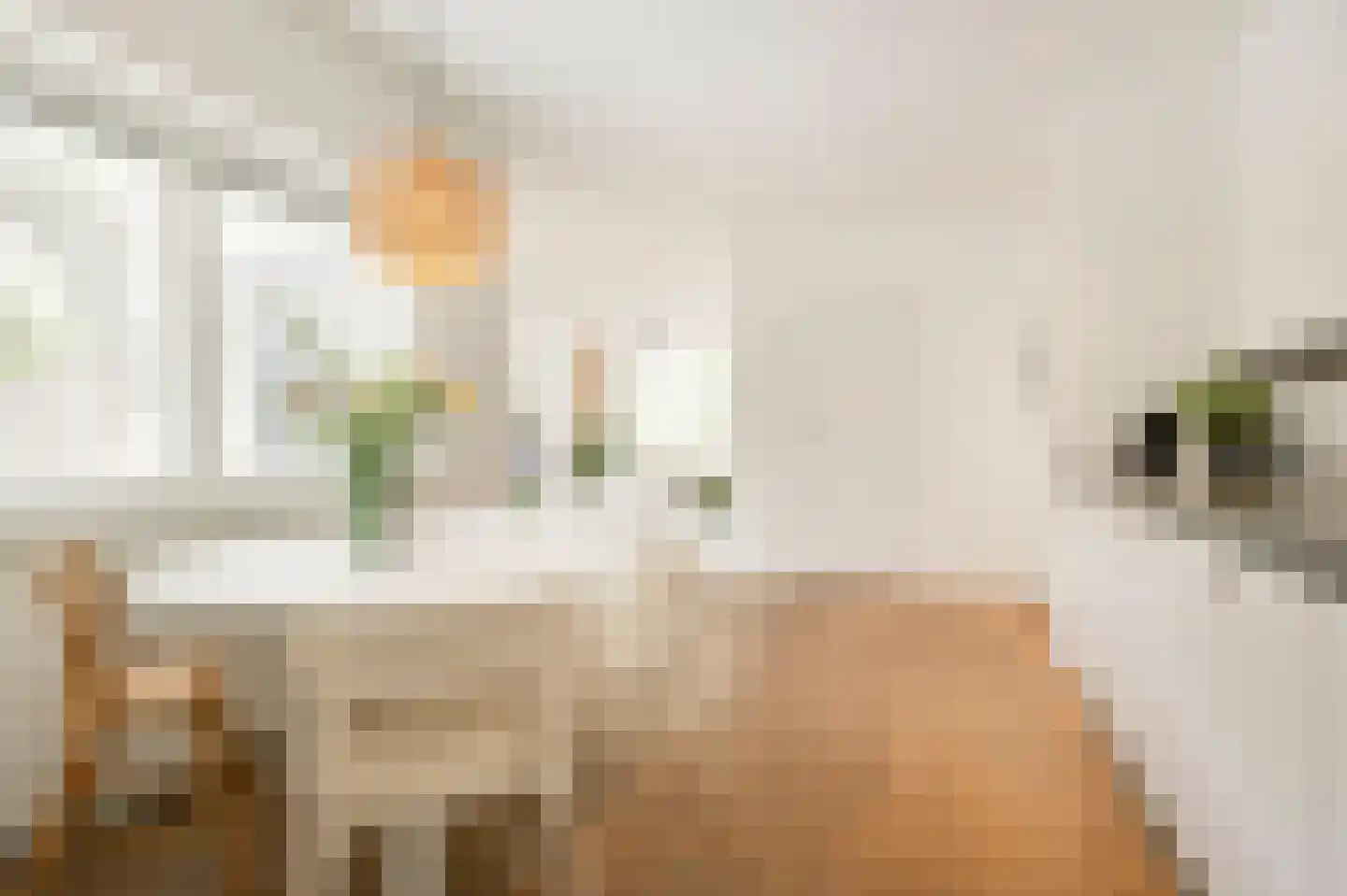 Schaapsweg 46 A Ede thumbnail 15