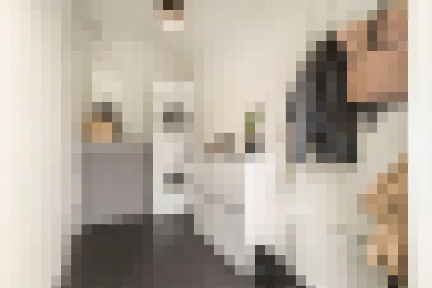 Schaapsweg 46 A Ede thumbnail 16