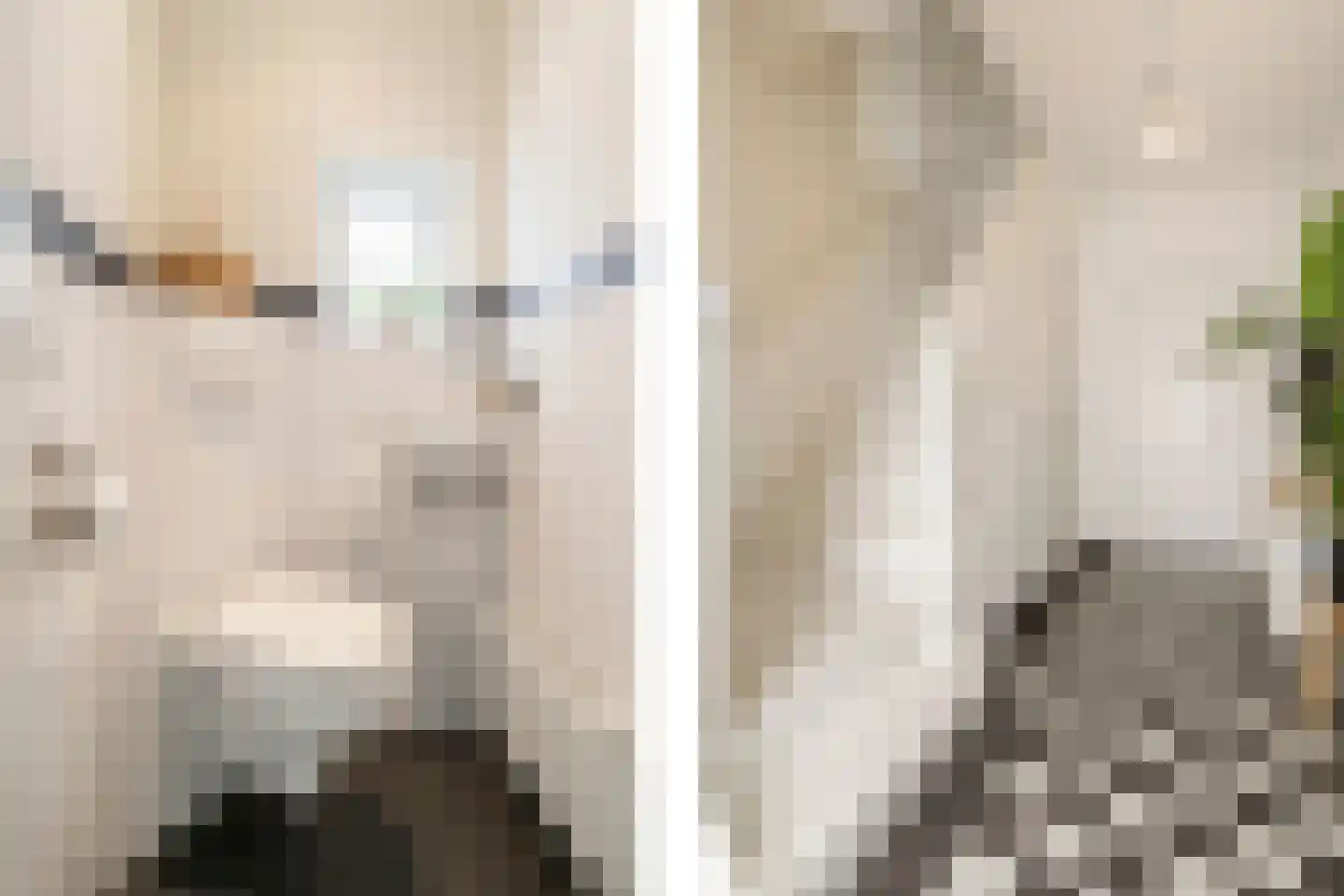 Schaapsweg 46 A Ede thumbnail 18