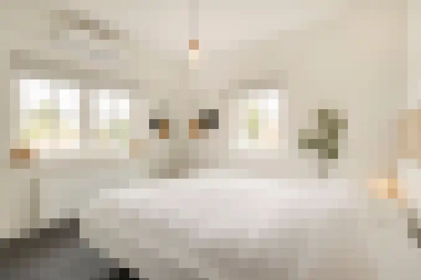 Schaapsweg 46 A Ede thumbnail 19