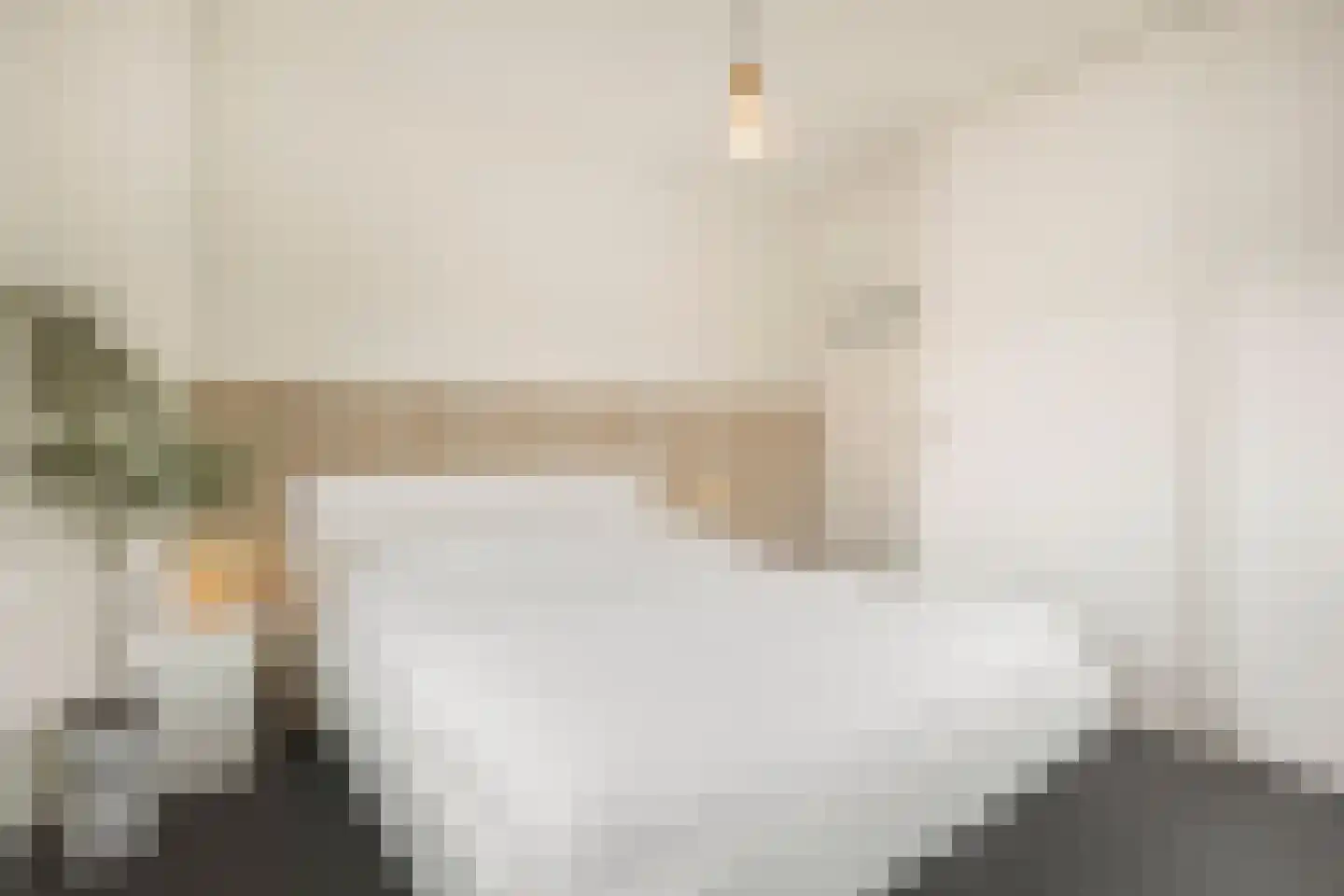 Schaapsweg 46 A Ede thumbnail 20