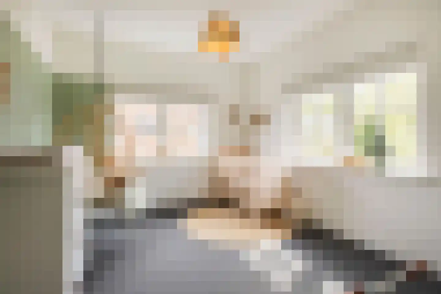 Schaapsweg 46 A Ede thumbnail 21