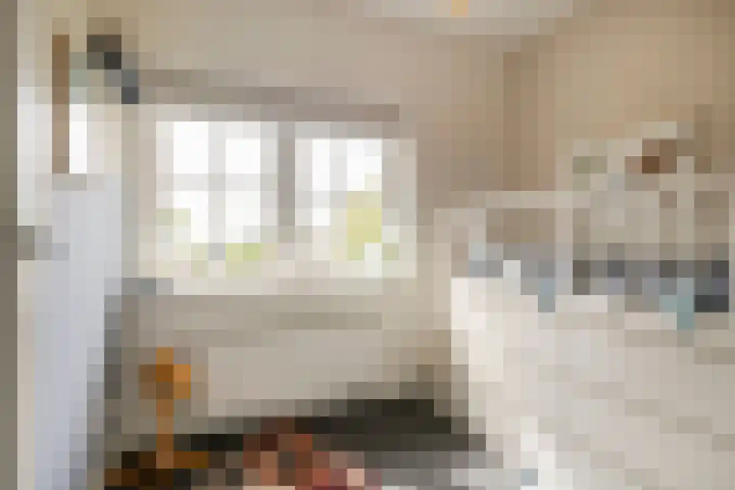 Schaapsweg 46 A Ede thumbnail 23