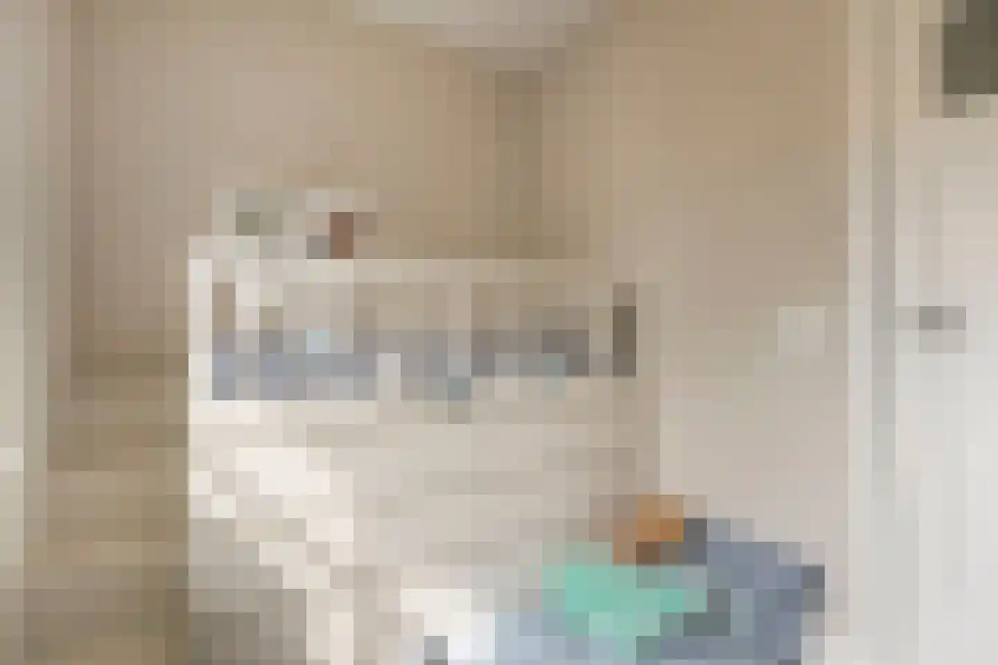 Schaapsweg 46 A Ede thumbnail 24