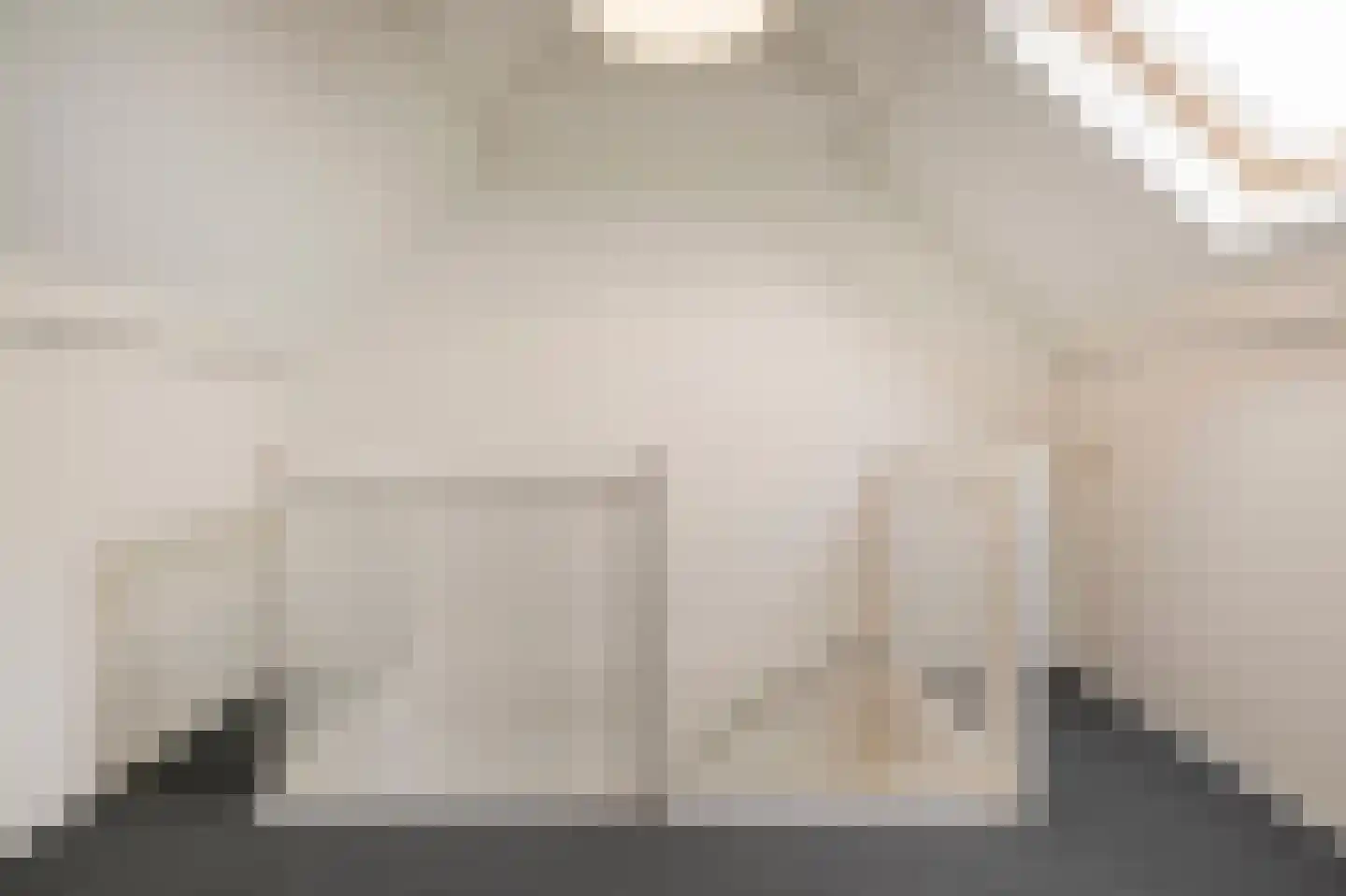 Schaapsweg 46 A Ede thumbnail 28