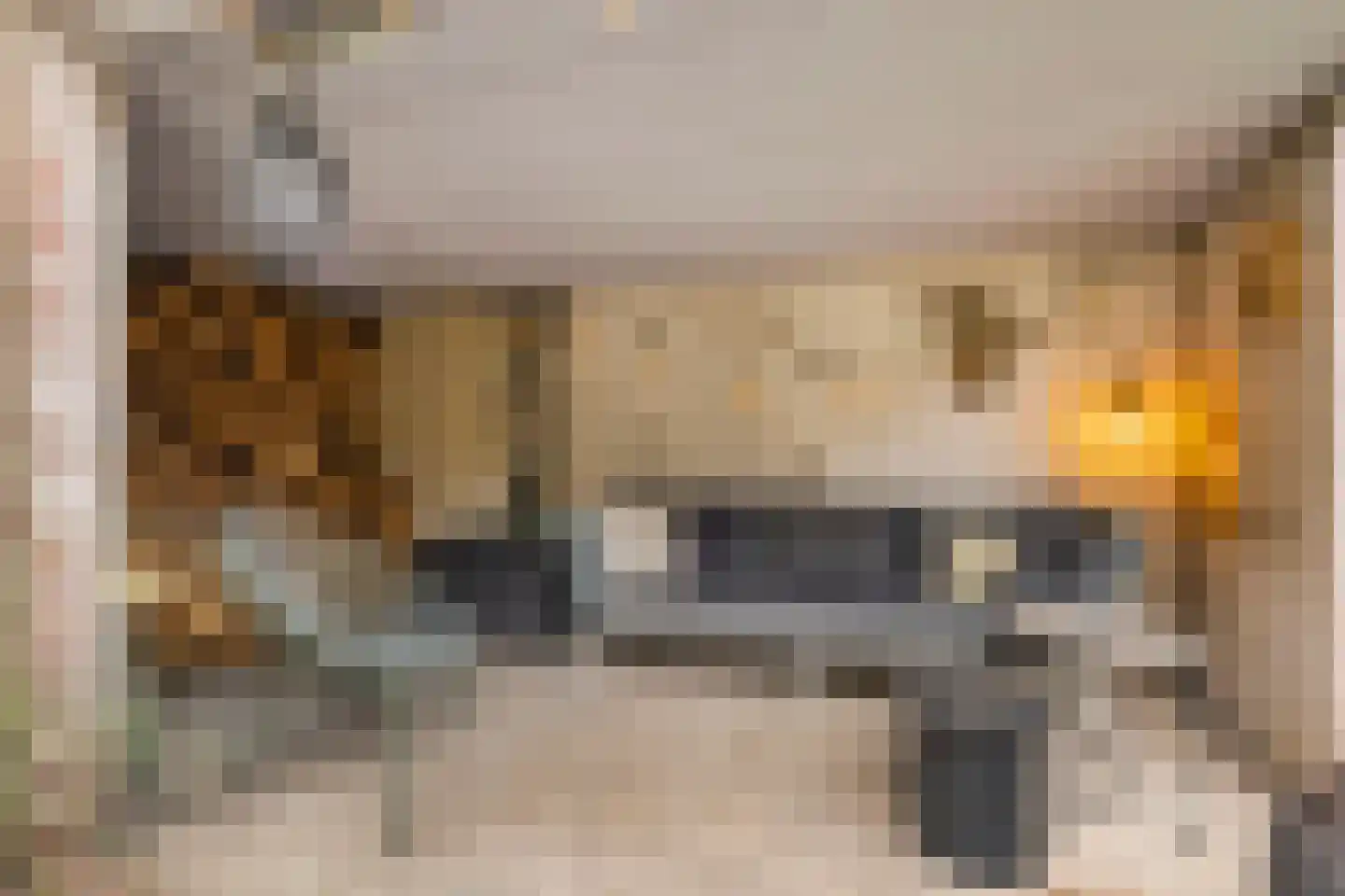 Schaapsweg 46 A Ede thumbnail 34