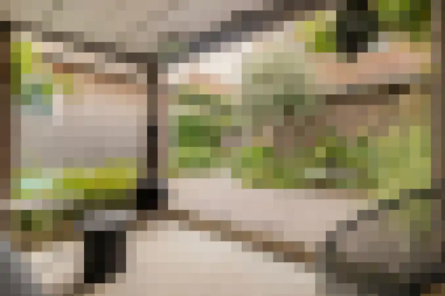 Schaapsweg 46 A Ede thumbnail 35