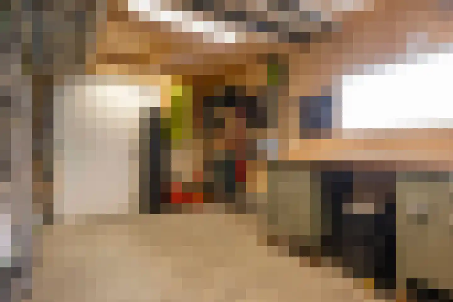 Schaapsweg 46 A Ede thumbnail 38