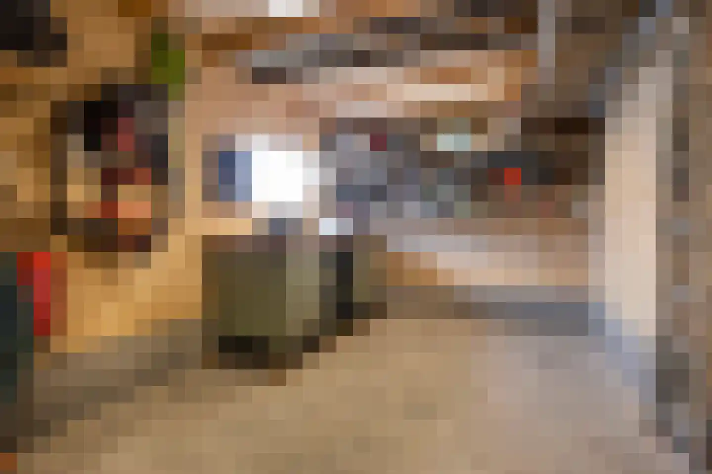 Schaapsweg 46 A Ede thumbnail 39