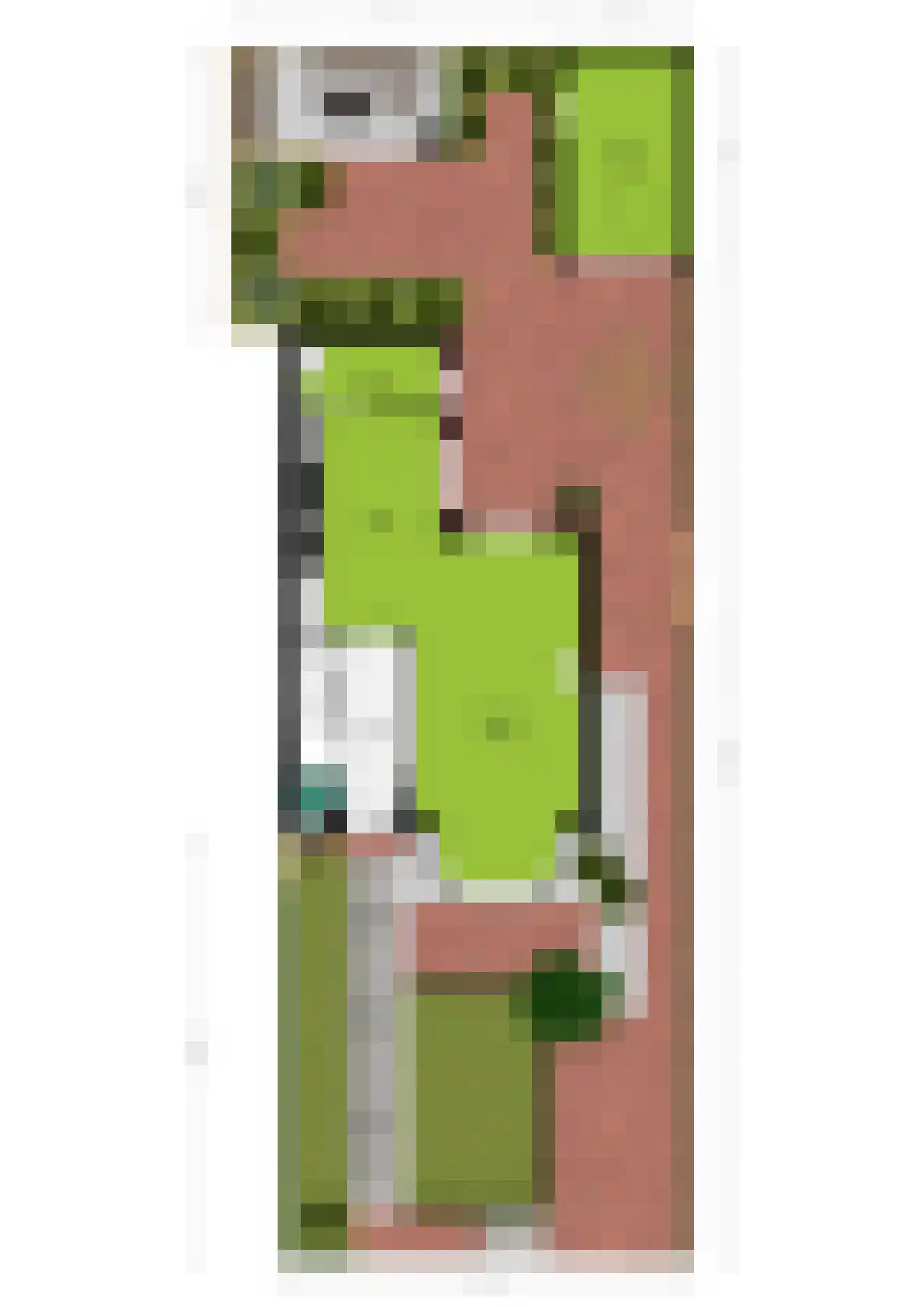 Schaapsweg 46 A Ede thumbnail 45