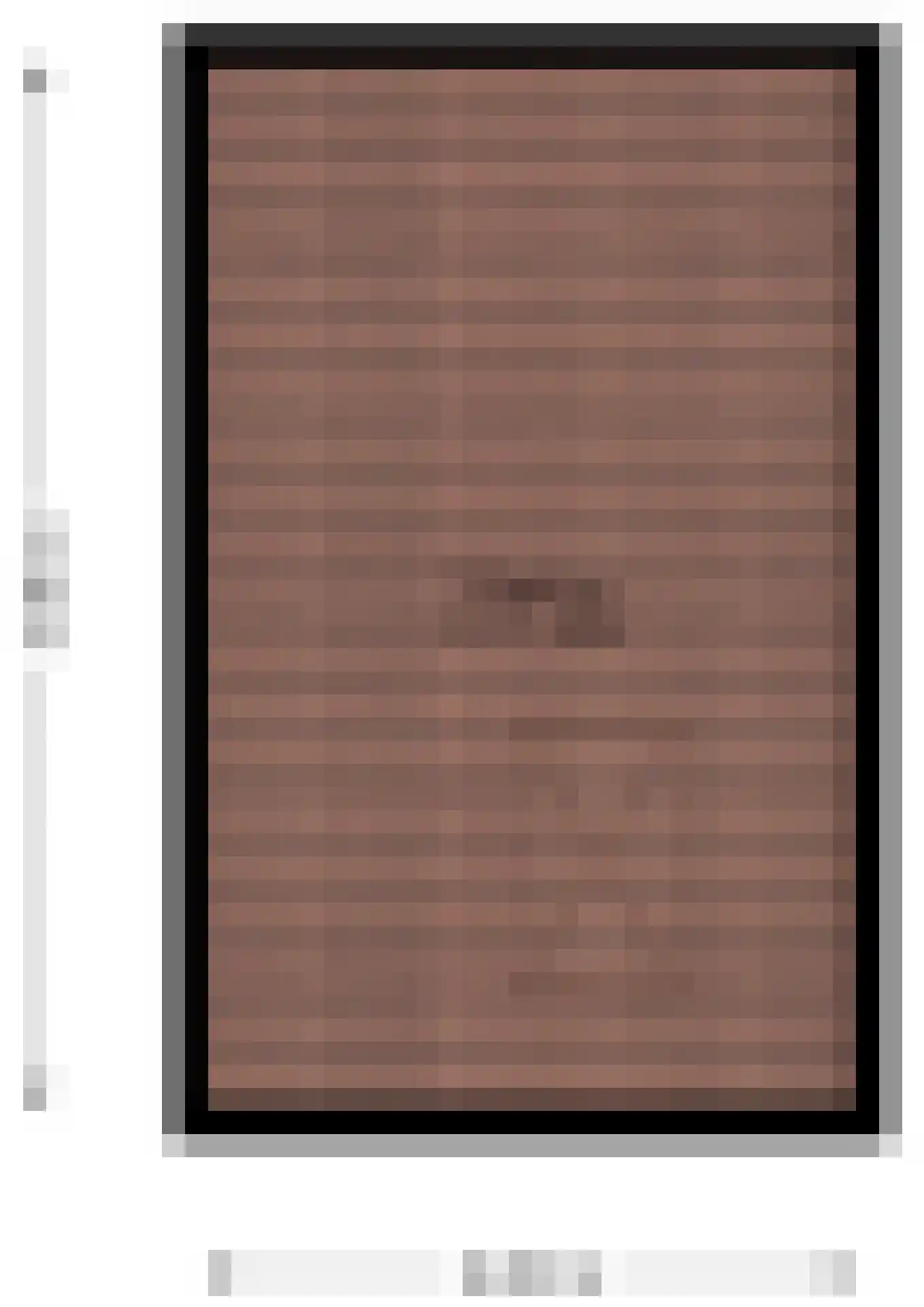 Schaapsweg 46 A Ede thumbnail 47