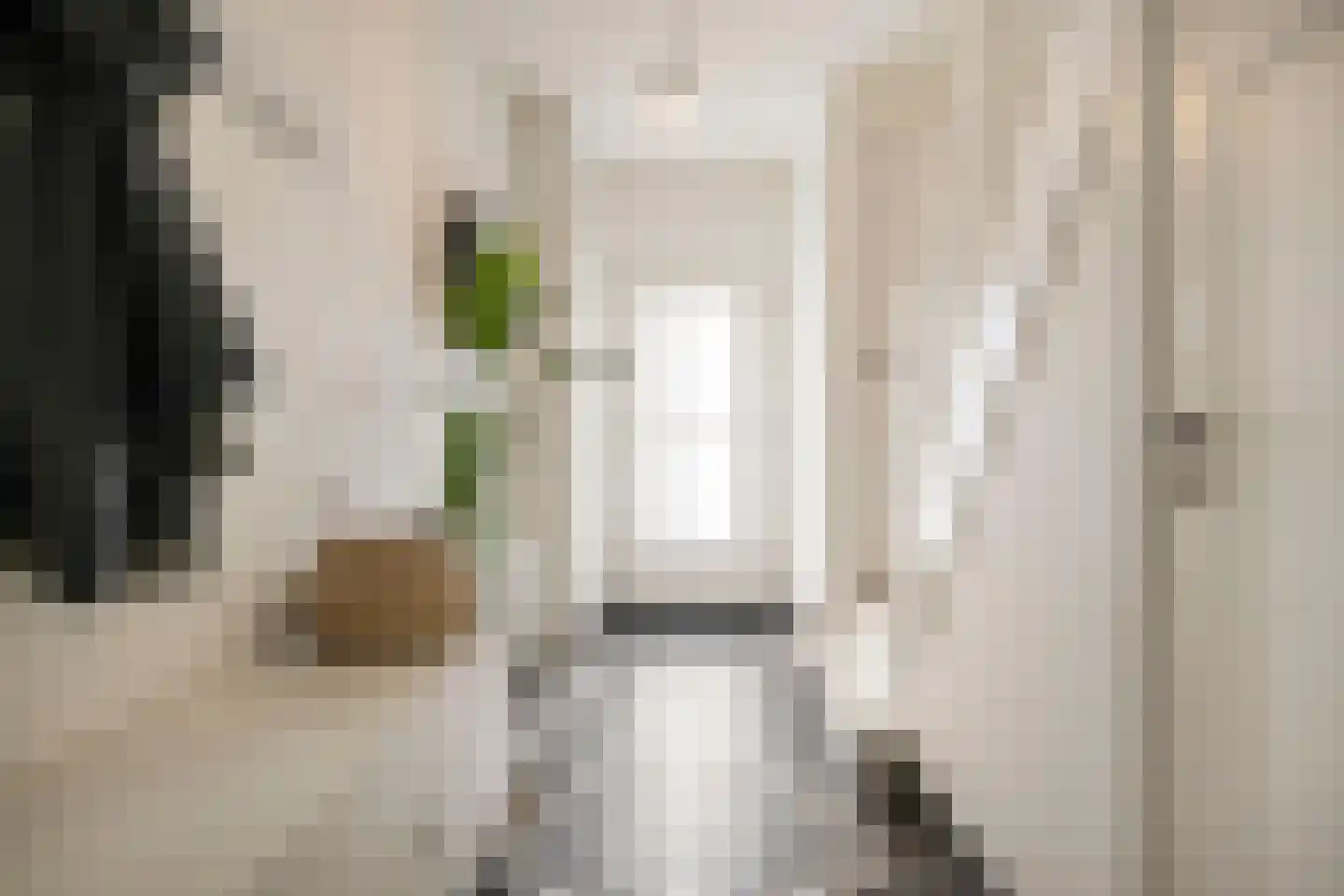 Schaapsweg 46 A Ede thumbnail 5