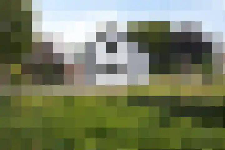 Schaapsweg 64 Sint Odiliënberg