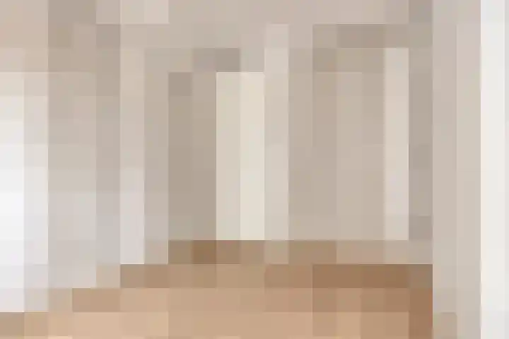 Schaapsweg 64 Sint Odiliënberg thumbnail 12