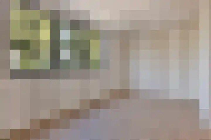 Schaapsweg 64 Sint Odiliënberg thumbnail 14