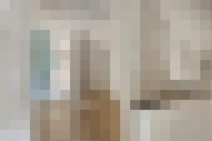 Schaapsweg 64 Sint Odiliënberg thumbnail 17