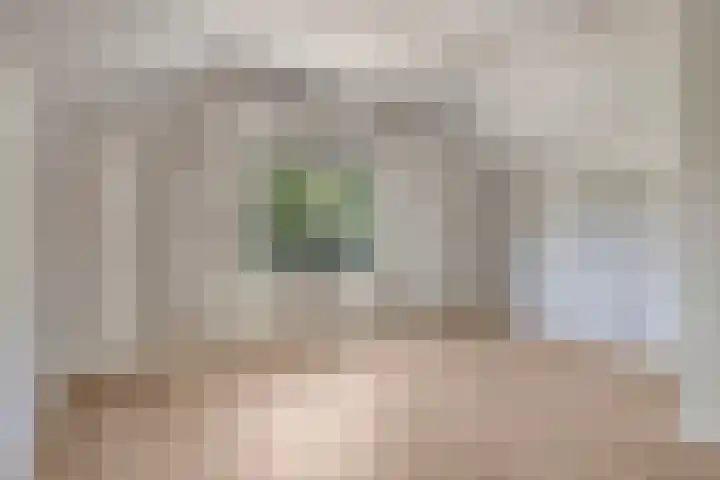 Schaapsweg 64 Sint Odiliënberg thumbnail 19