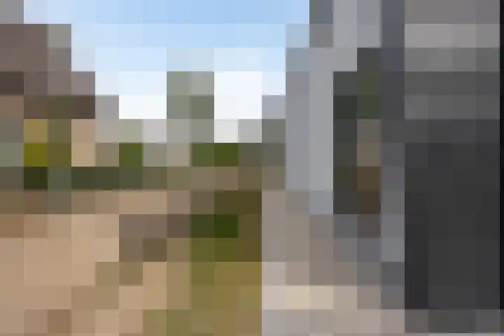 Schaapsweg 64 Sint Odiliënberg thumbnail 27