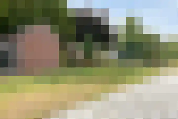 Schaapsweg 64 Sint Odiliënberg thumbnail 28