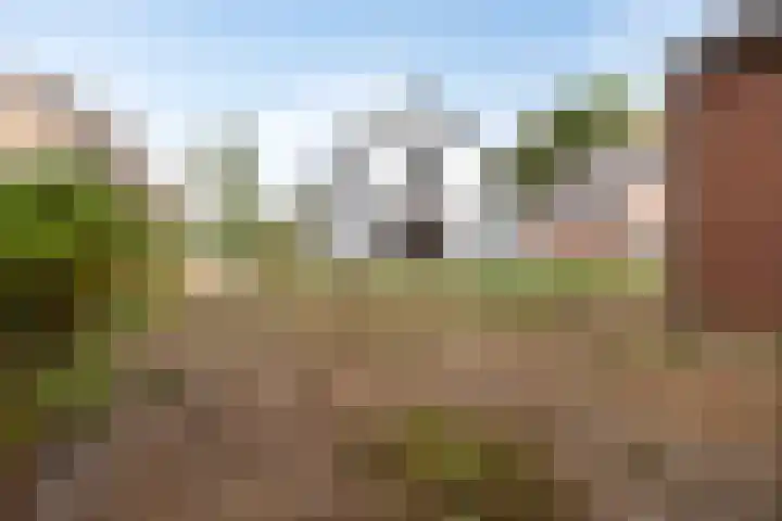 Schaapsweg 64 Sint Odiliënberg thumbnail 29