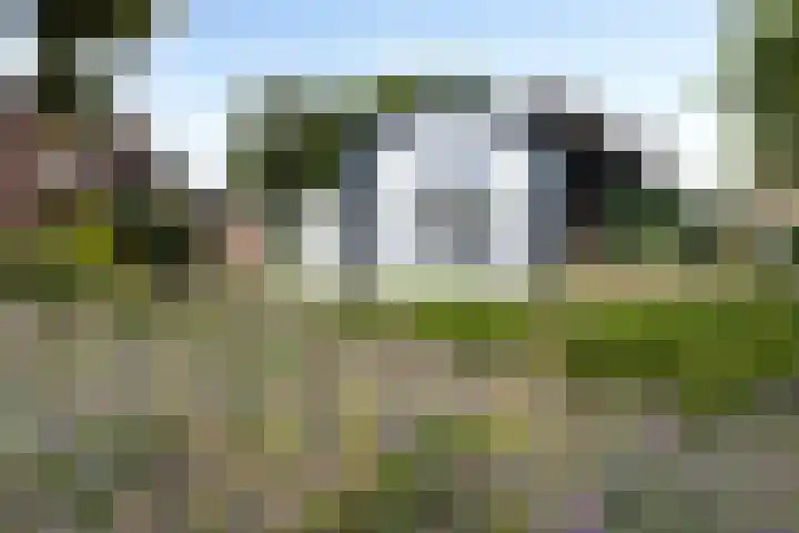 Schaapsweg 64 Sint Odiliënberg thumbnail 31