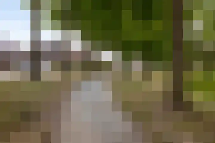 Schaapsweg 64 Sint Odiliënberg thumbnail 34
