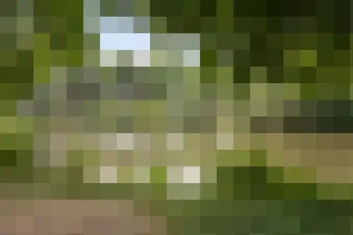 Schaapsweg 64 Sint Odiliënberg thumbnail 35