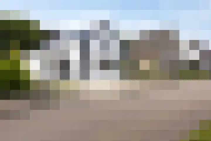 Schaapsweg 64 Sint Odiliënberg thumbnail 4