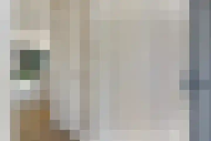 Schaapsweg 64 Sint Odiliënberg thumbnail 6