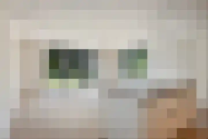 Schaapsweg 64 Sint Odiliënberg thumbnail 8