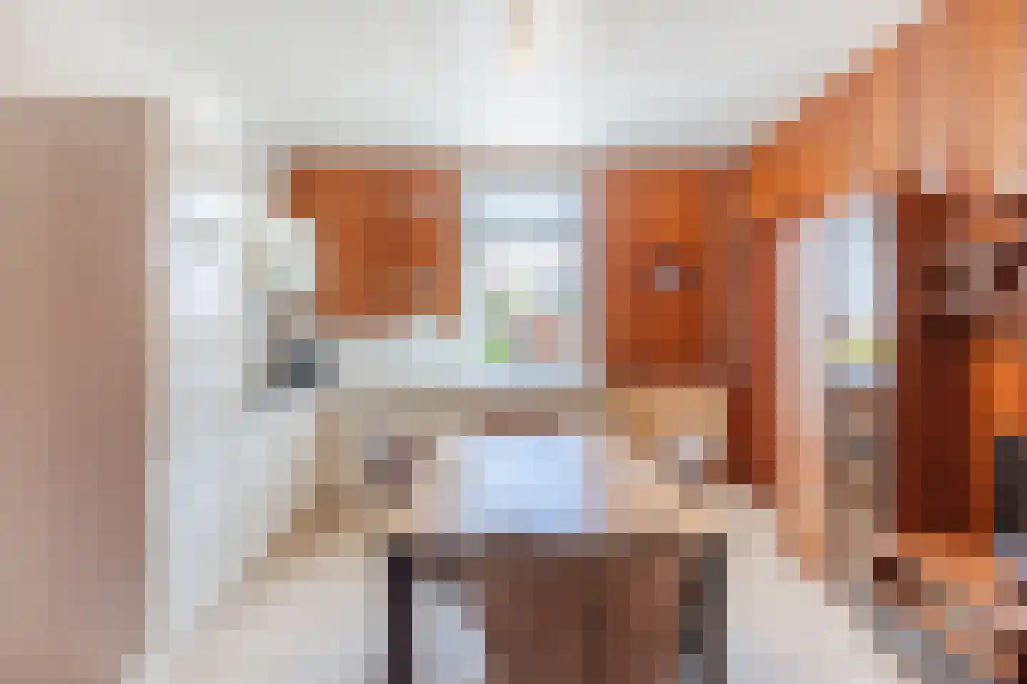 Schaapsweg 68 Sint Odiliënberg thumbnail 14