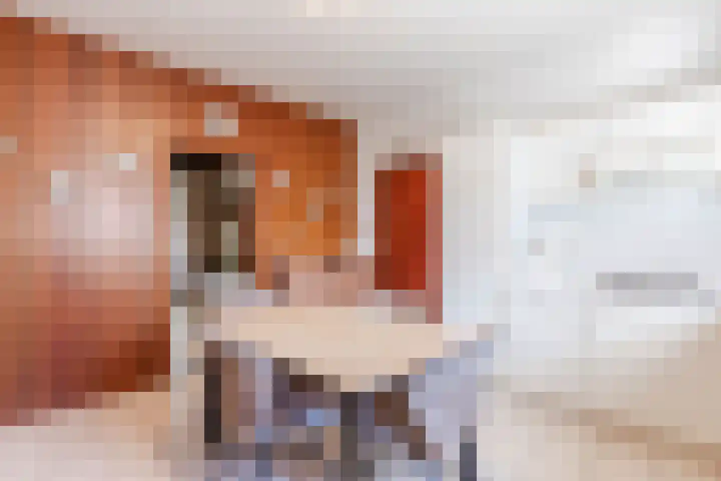 Schaapsweg 68 Sint Odiliënberg thumbnail 16