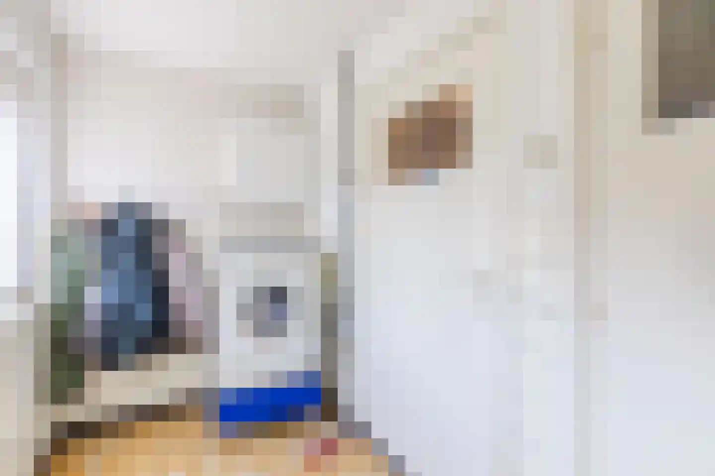 Schaapsweg 68 Sint Odiliënberg thumbnail 19