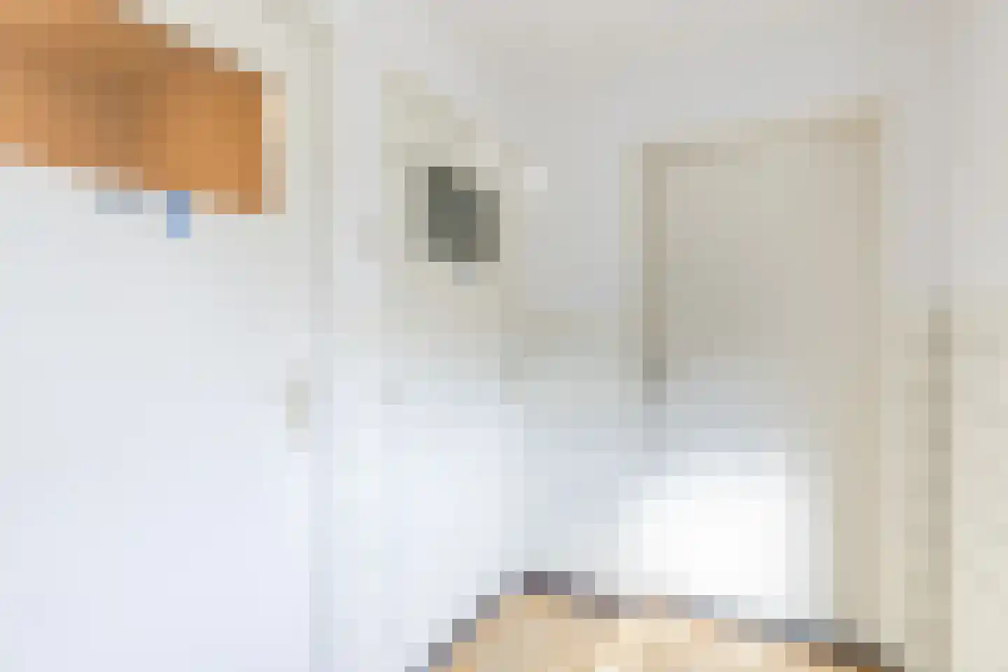 Schaapsweg 68 Sint Odiliënberg thumbnail 20