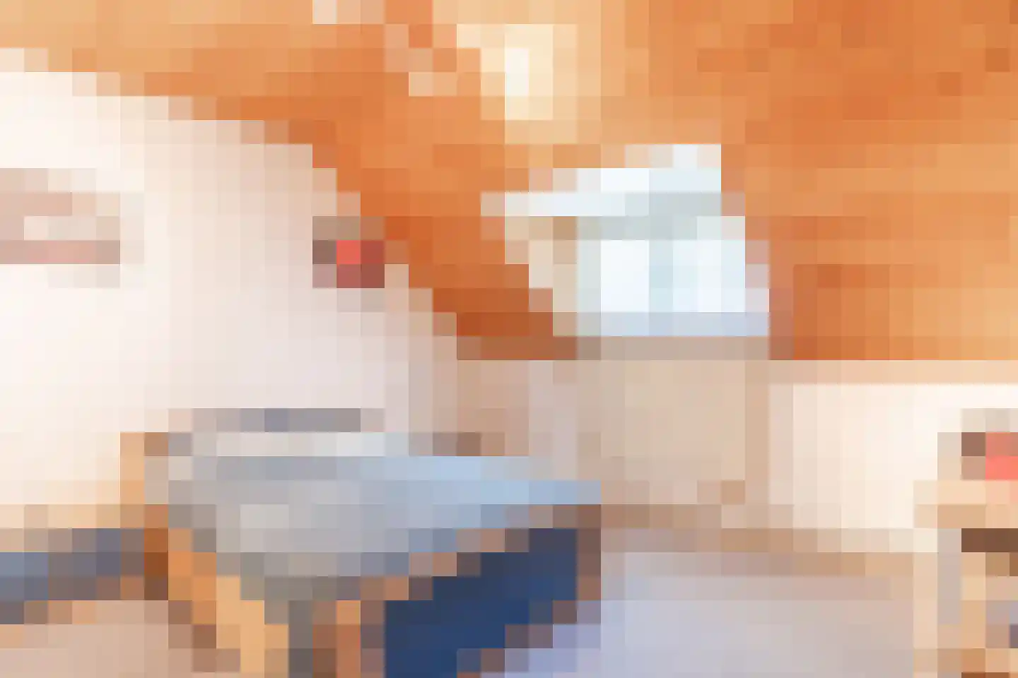 Schaapsweg 68 Sint Odiliënberg thumbnail 26