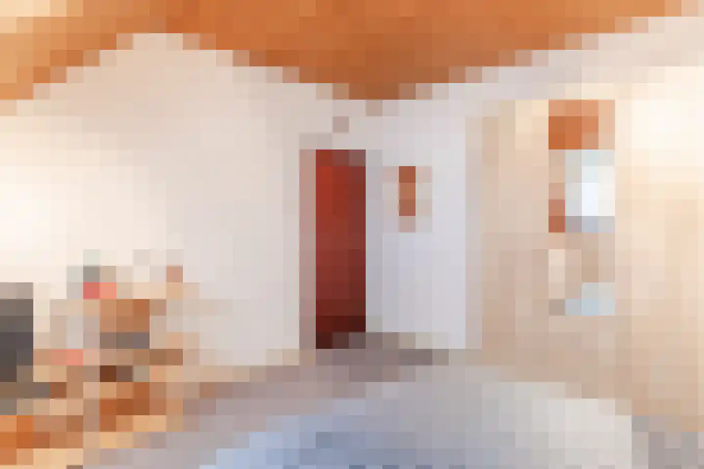 Schaapsweg 68 Sint Odiliënberg thumbnail 27