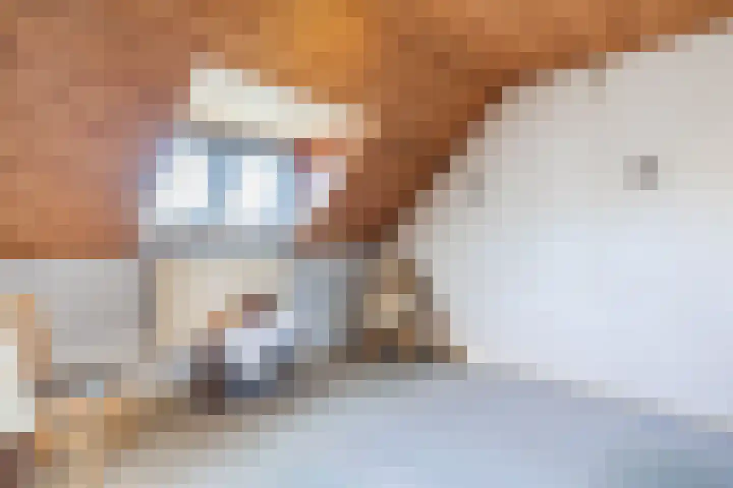 Schaapsweg 68 Sint Odiliënberg thumbnail 30