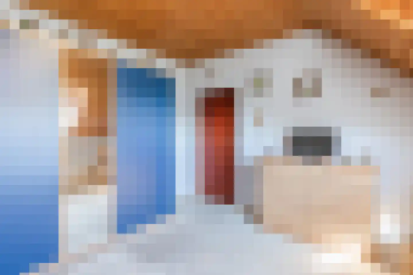 Schaapsweg 68 Sint Odiliënberg thumbnail 31