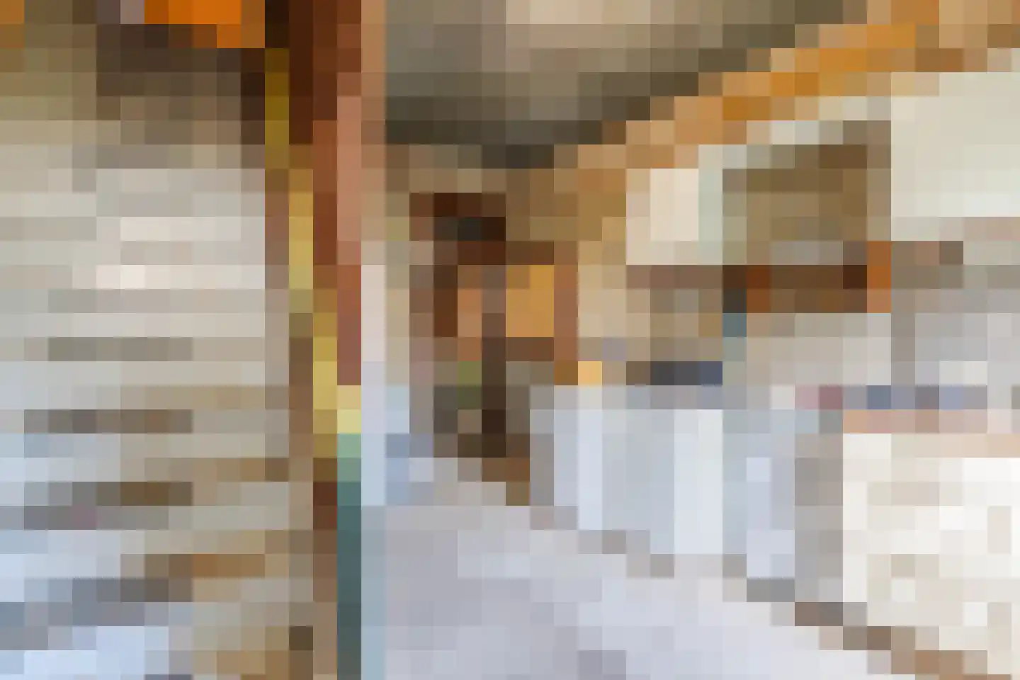 Schaapsweg 68 Sint Odiliënberg thumbnail 32