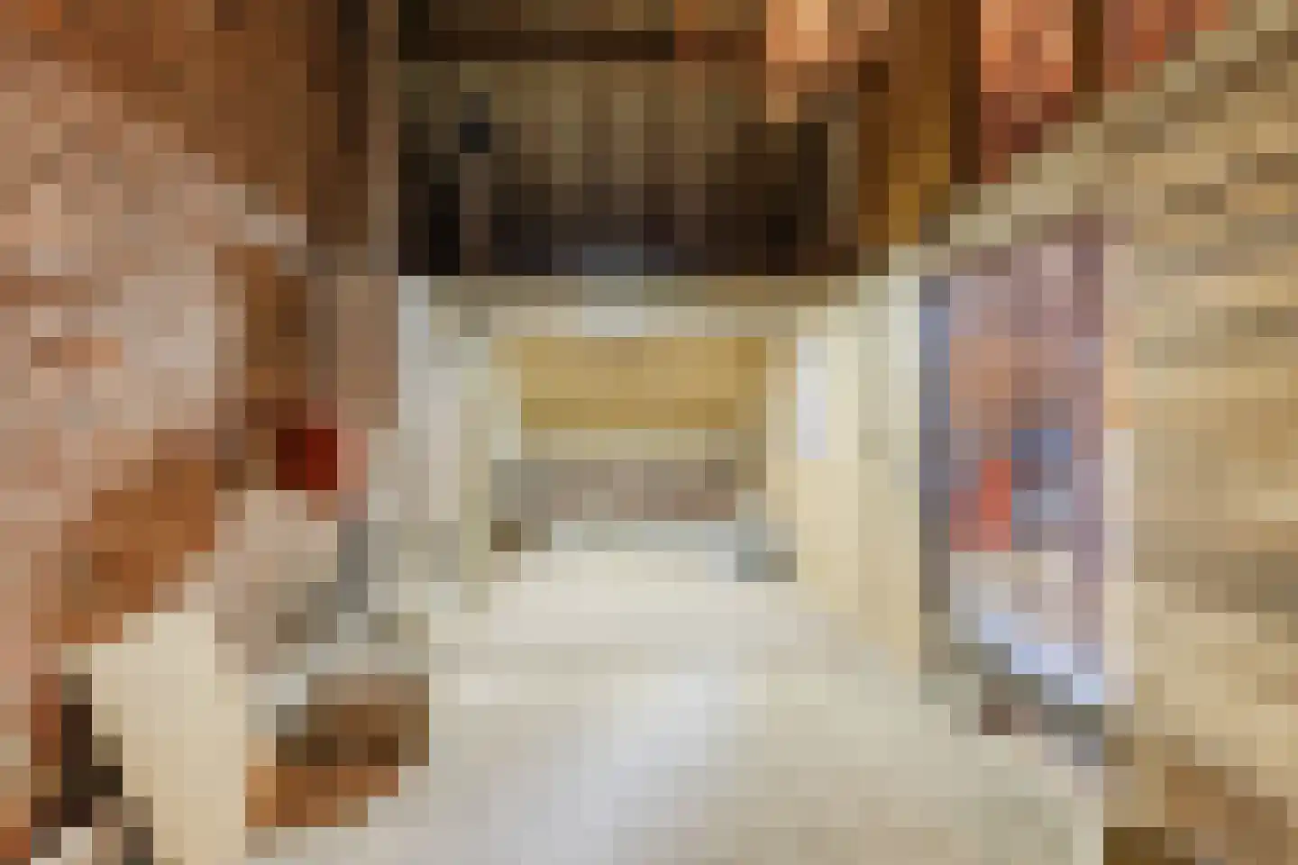 Schaapsweg 68 Sint Odiliënberg thumbnail 36