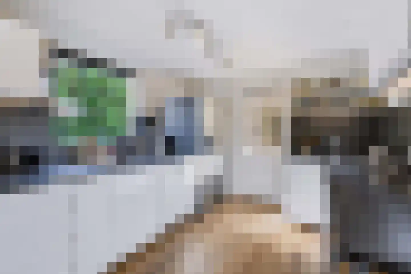 Schaapsweg 8 Ede thumbnail 12