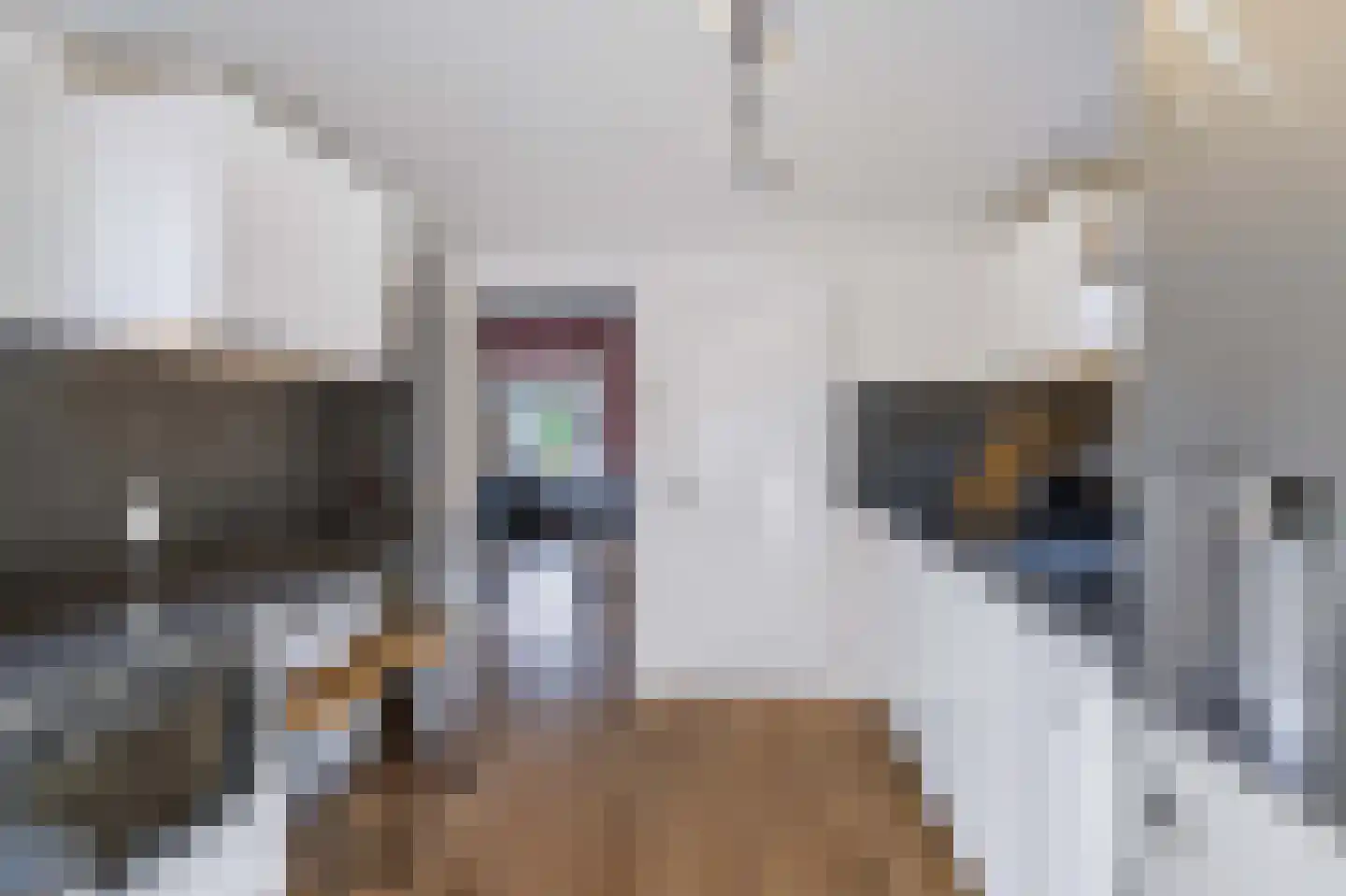 Schaapsweg 8 Ede thumbnail 13