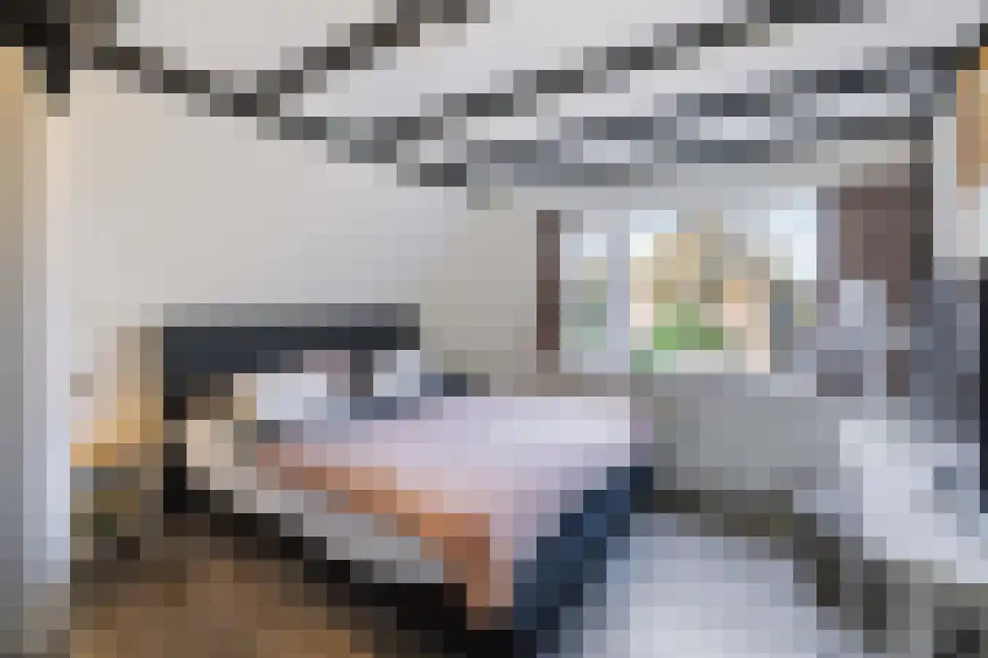 Schaapsweg 8 Ede thumbnail 19