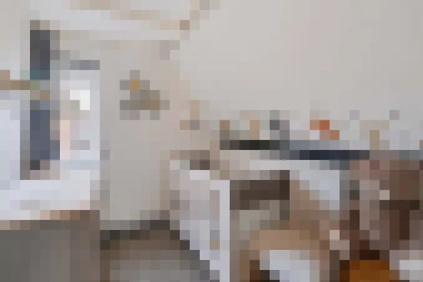 Schaapsweg 8 Ede thumbnail 23