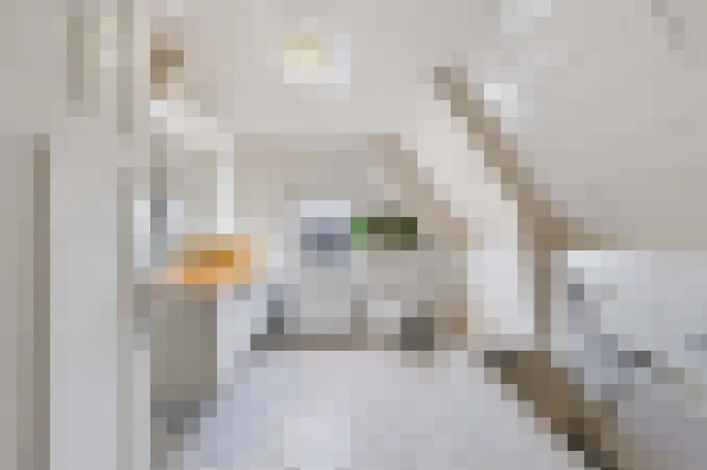 Schaapsweg 8 Ede thumbnail 24