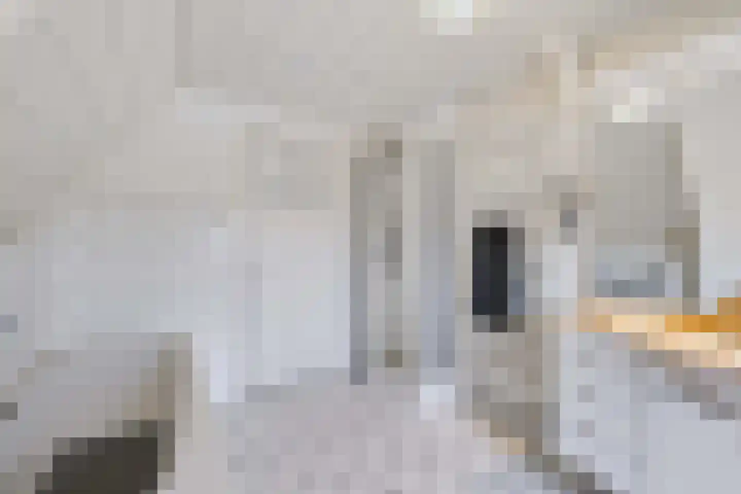 Schaapsweg 8 Ede thumbnail 25