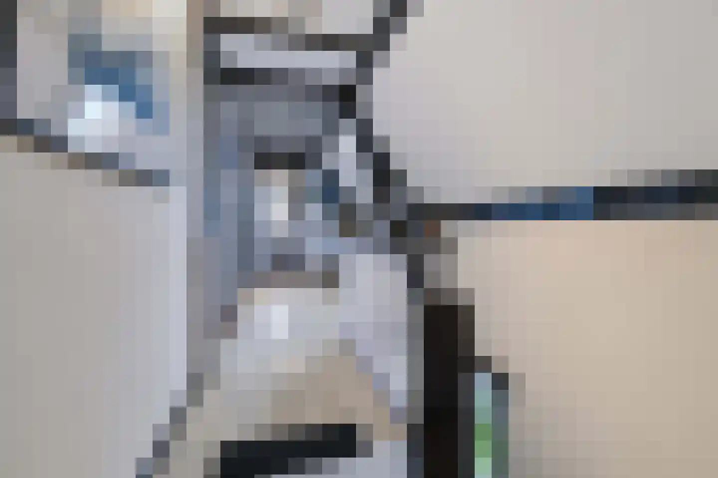 Schaapsweg 8 Ede thumbnail 29
