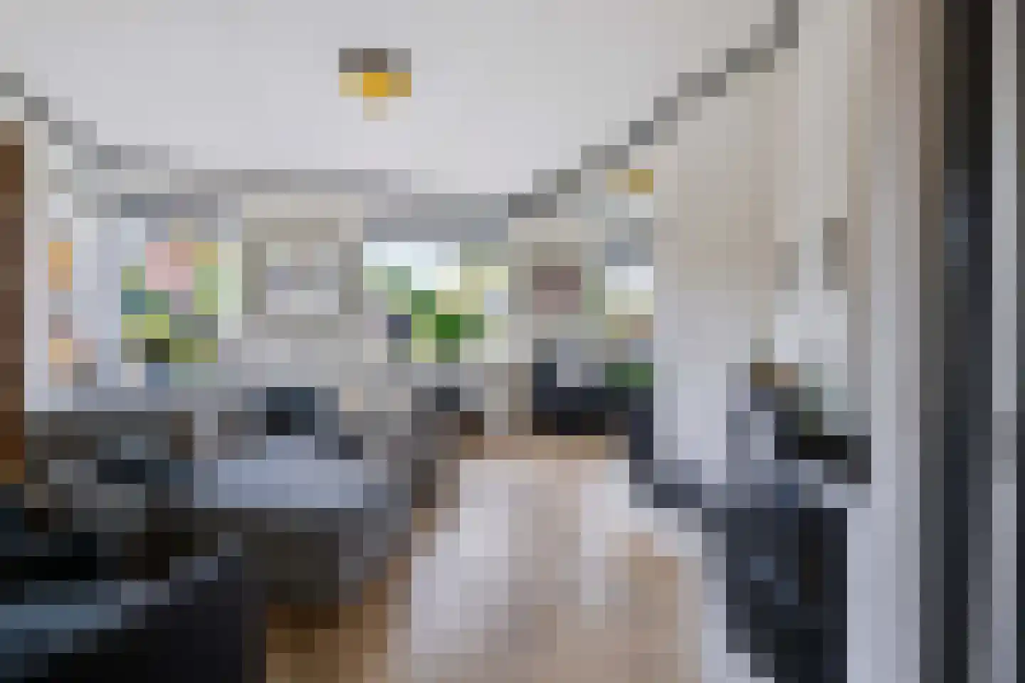 Schaapsweg 8 Ede foto 3