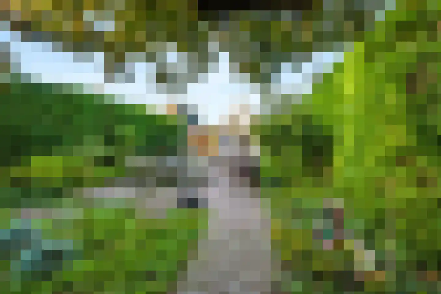 Schaapsweg 8 Ede thumbnail 30