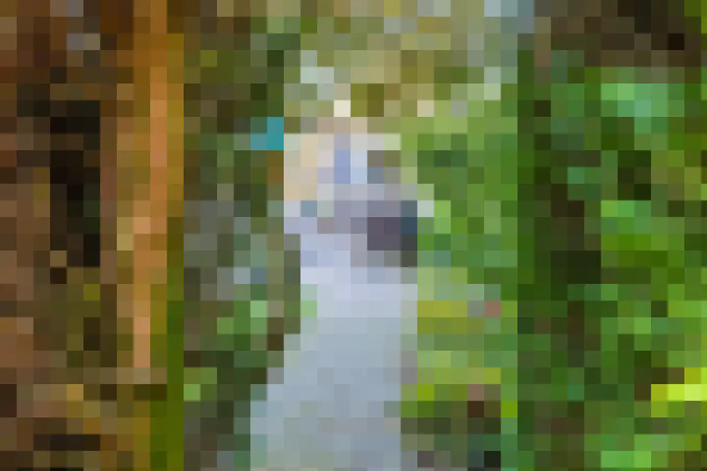 Schaapsweg 8 Ede thumbnail 38